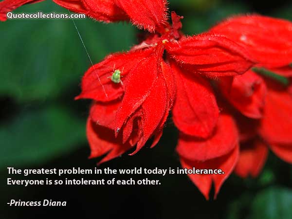 Princess Diana Quotes2